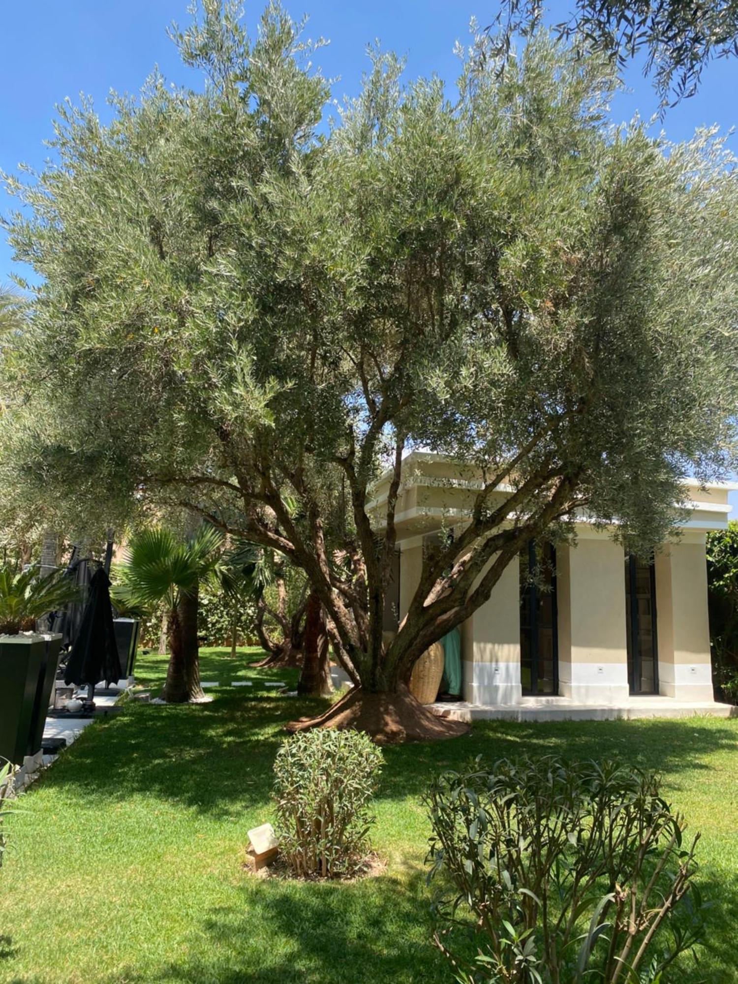 Villa Mano Lagouassem Eksteriør billede